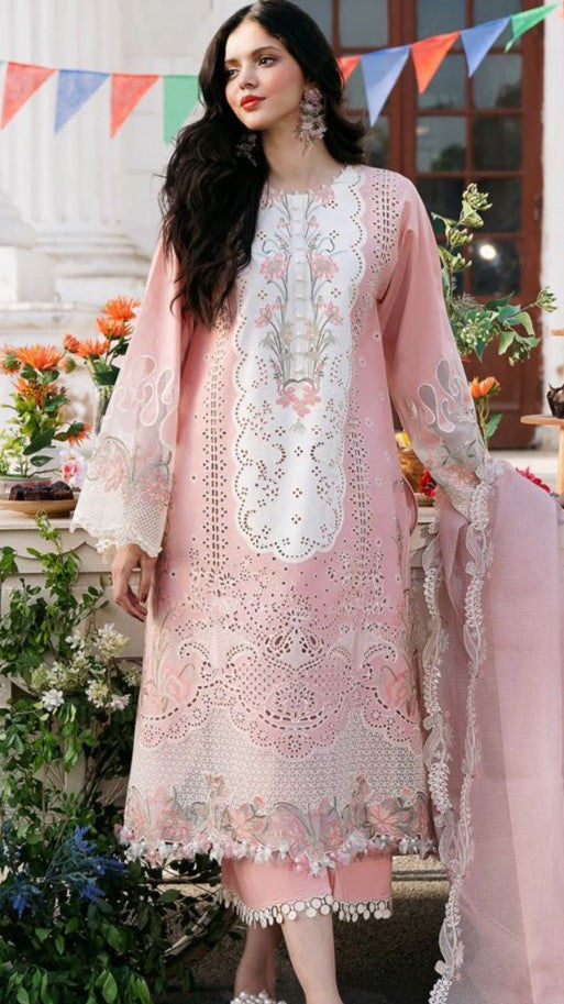 BNN-3PC DHANAK EMBROIEDERED