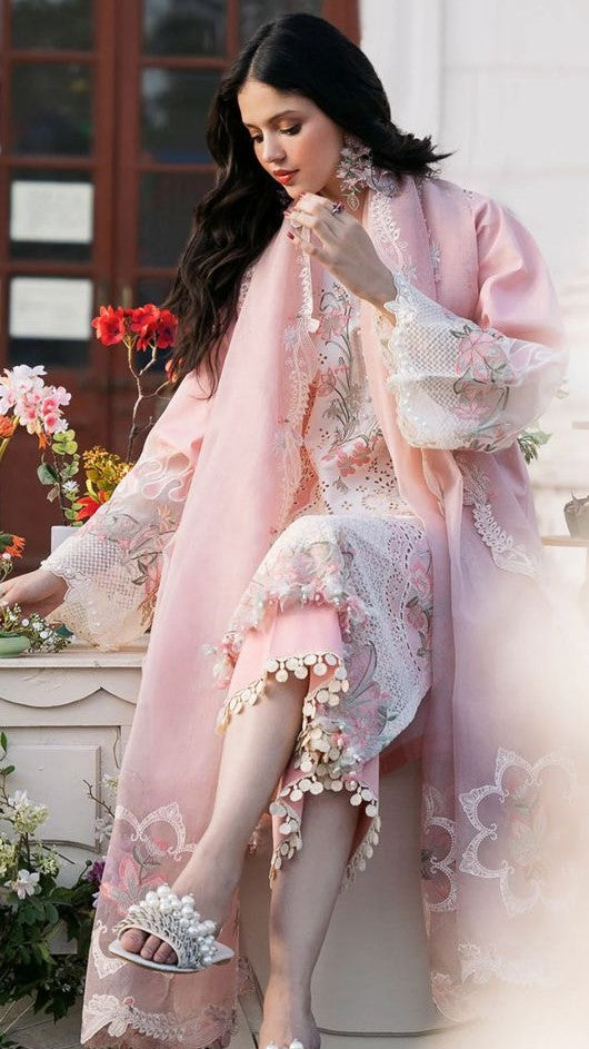 BNN-3PC DHANAK EMBROIEDERED